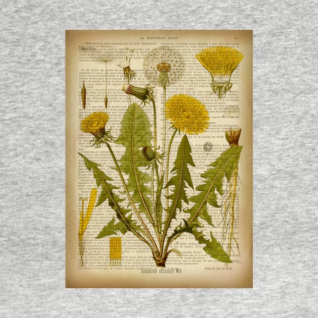 Botanical print, on old book page - Dandelion by ArtDreamStudio